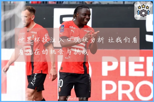 世界杯投注入口现状分析 让我们看看现在的机会与挑战