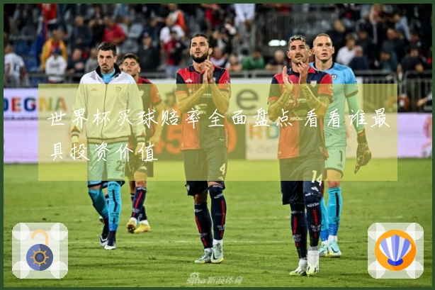 世界杯买球赔率全面盘点 看看谁最具投资价值