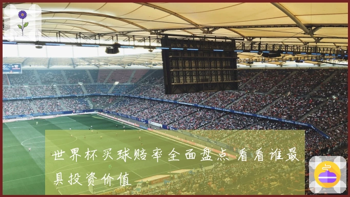 世界杯买球赔率全面盘点 看看谁最具投资价值