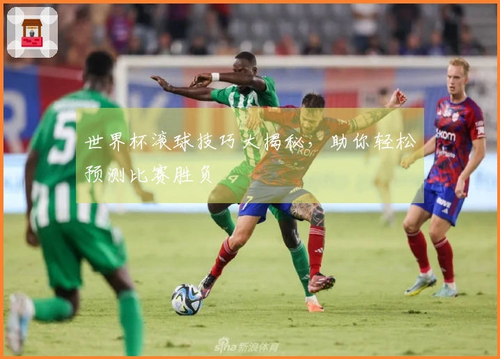 世界杯滚球技巧大揭秘，助你轻松预测比赛胜负