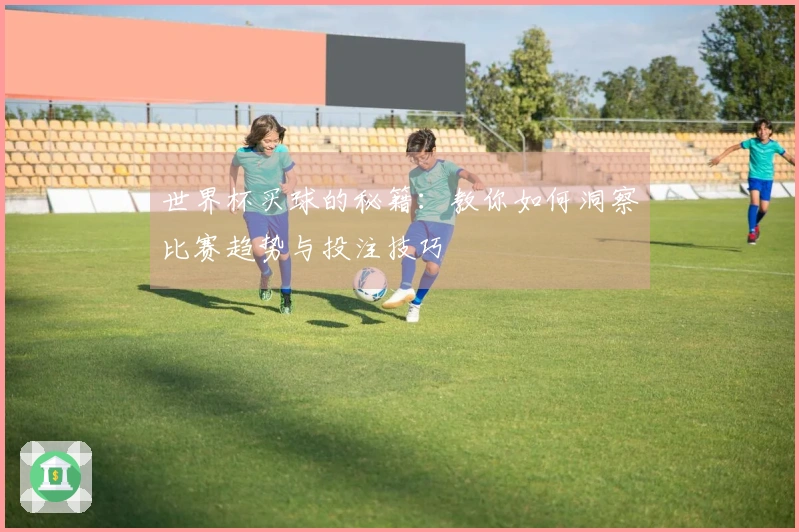 世界杯买球的秘籍：教你如何洞察比赛趋势与投注技巧
