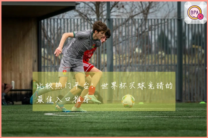 比较热门平台：世界杯买球竞猜的最佳入口推荐