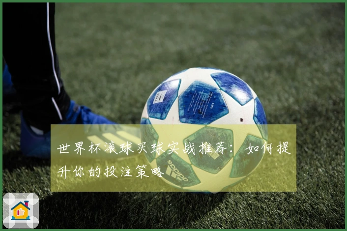 世界杯滚球买球实战推荐：如何提升你的投注策略