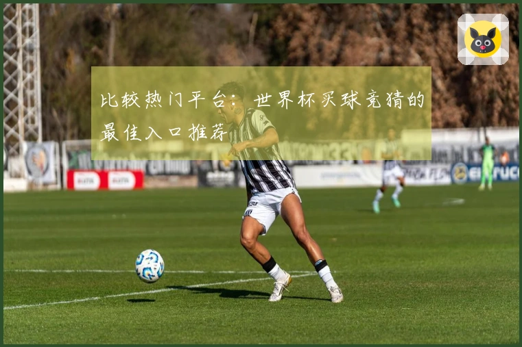 比较热门平台：世界杯买球竞猜的最佳入口推荐